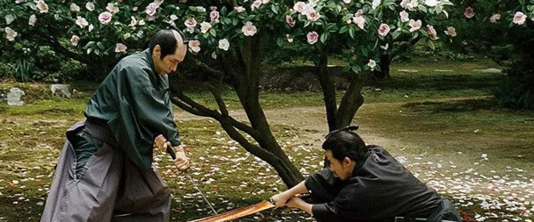 Falling Camellia's banner image