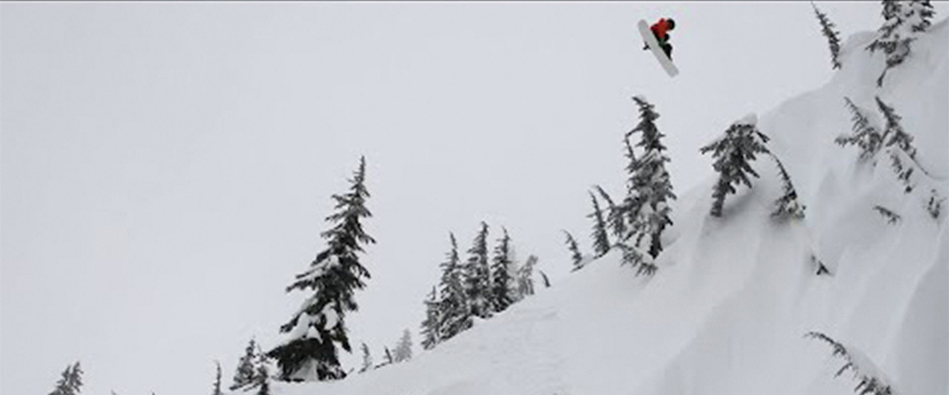 WashDup's banner image