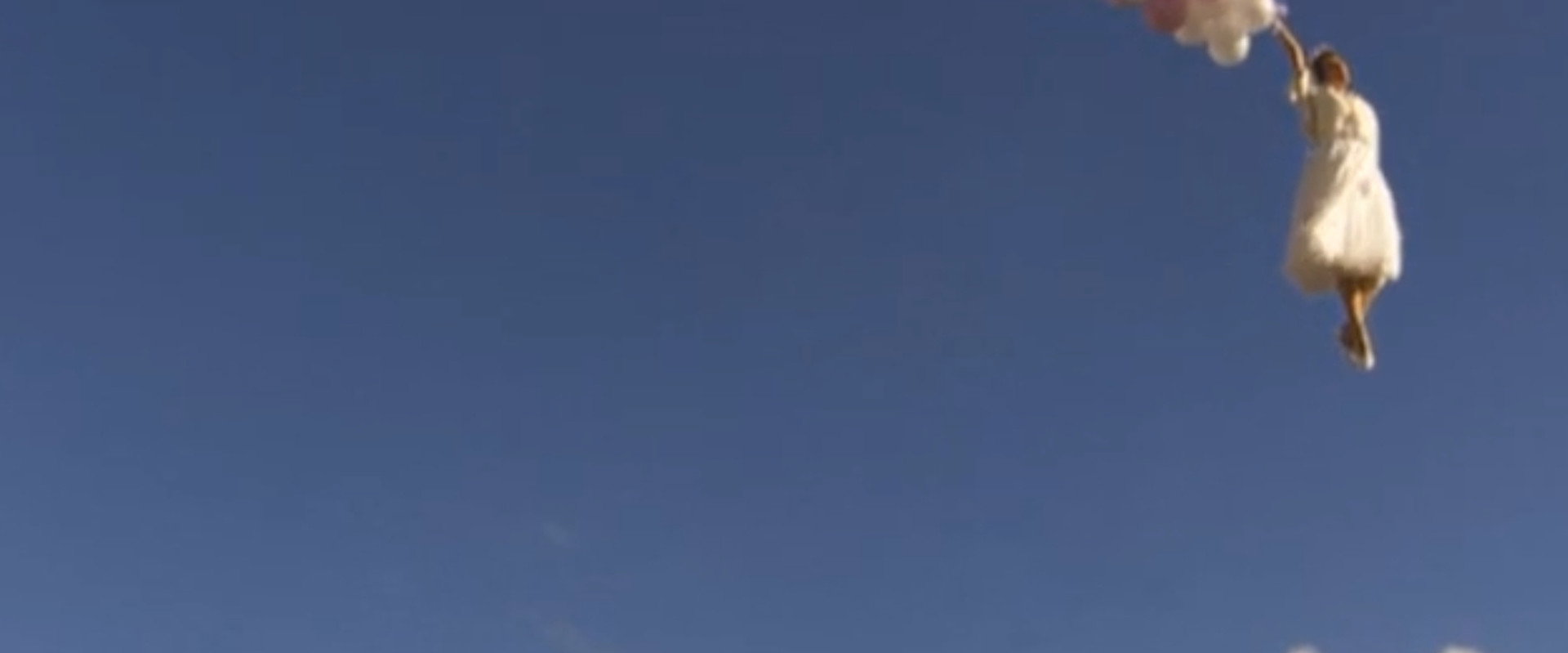 Green Wing Special's banner image