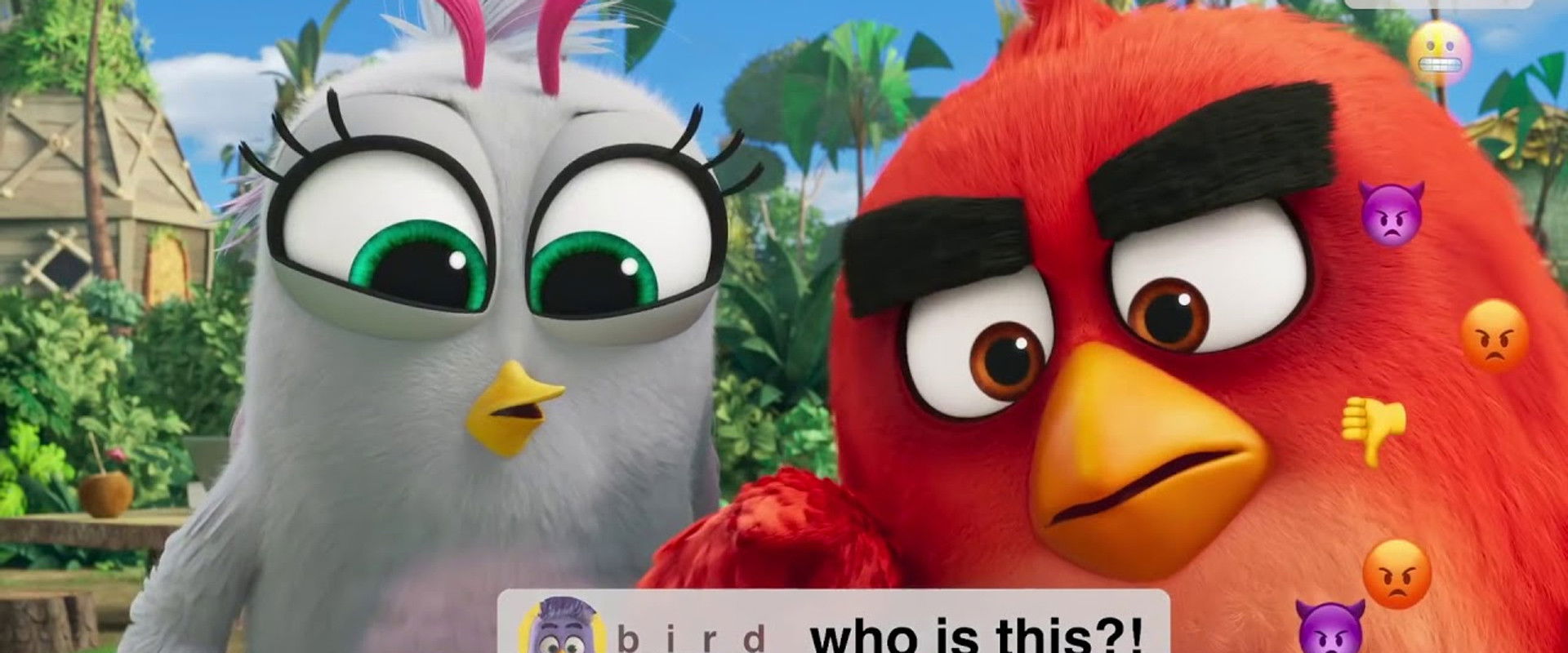 Angry Birds: Live Stream's banner image
