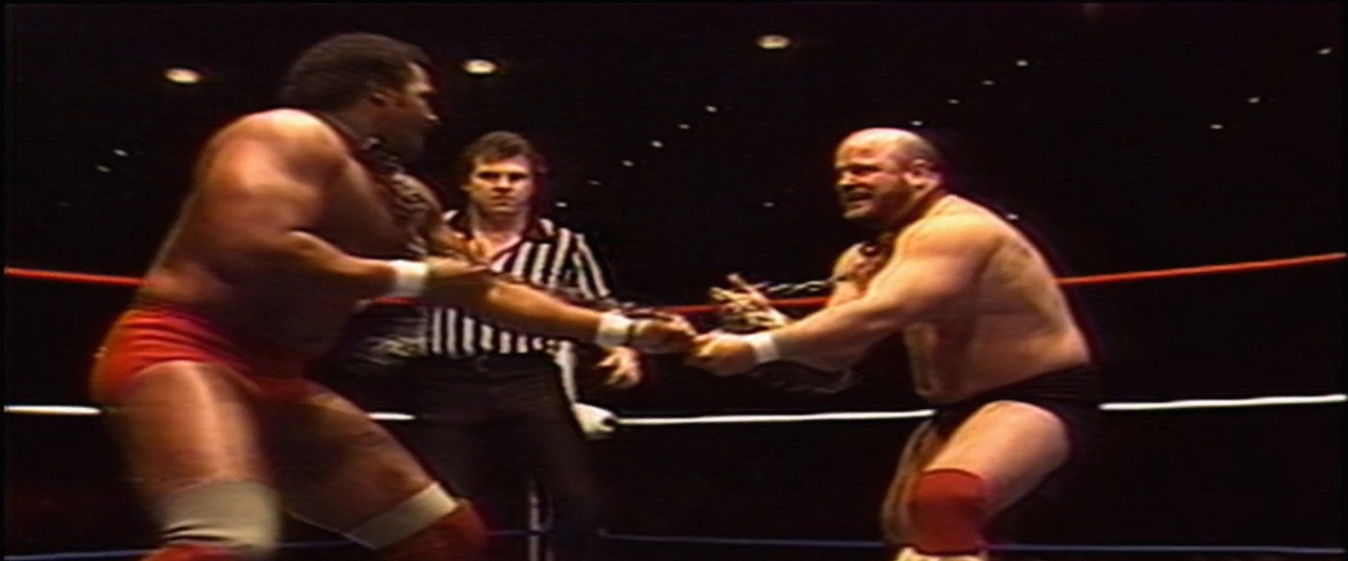 Mid-South Arena Shows's banner image