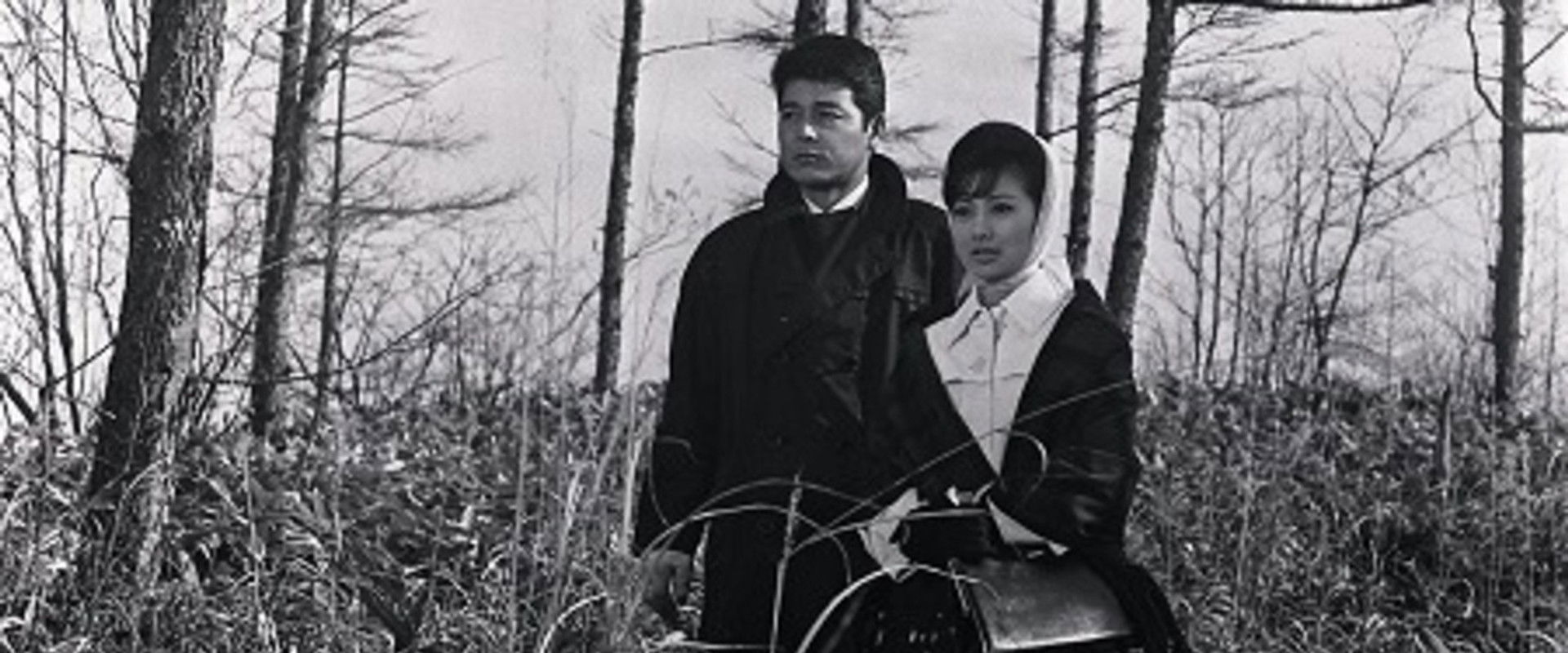 Kiri ni Kieta Hito's banner image