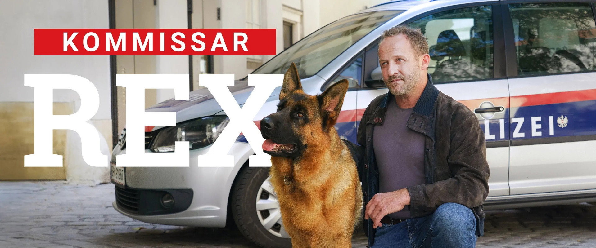 Rex - Vienna Calling's banner image