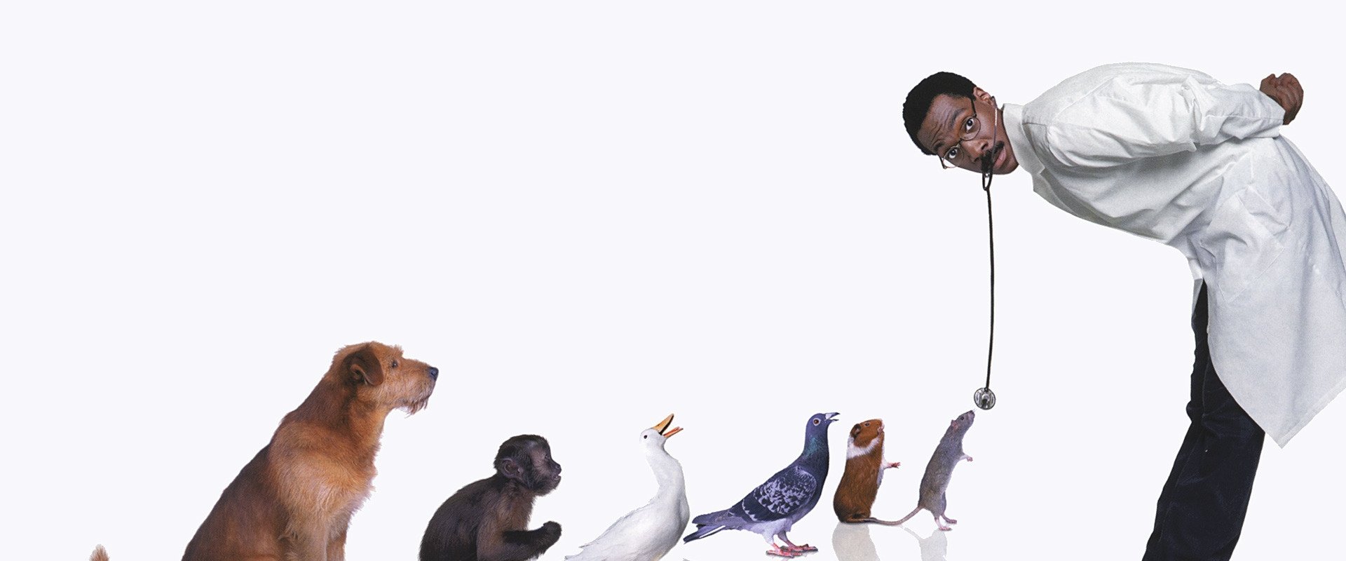 Loạt phim Bác Sĩ Dolittle