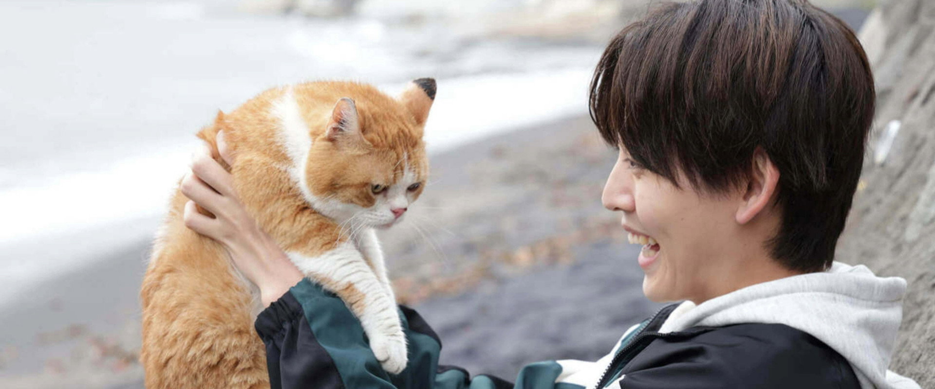 NEKOMIMI - Seaside Pet Detective -'s banner image