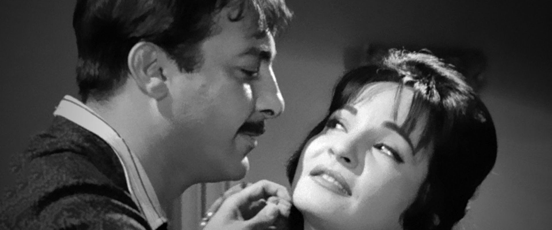 Wife Number 13's banner image