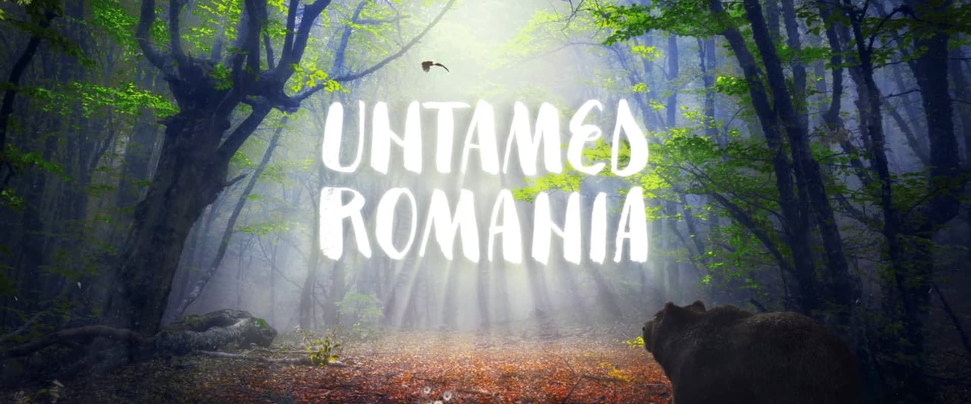 România neîmblânzită