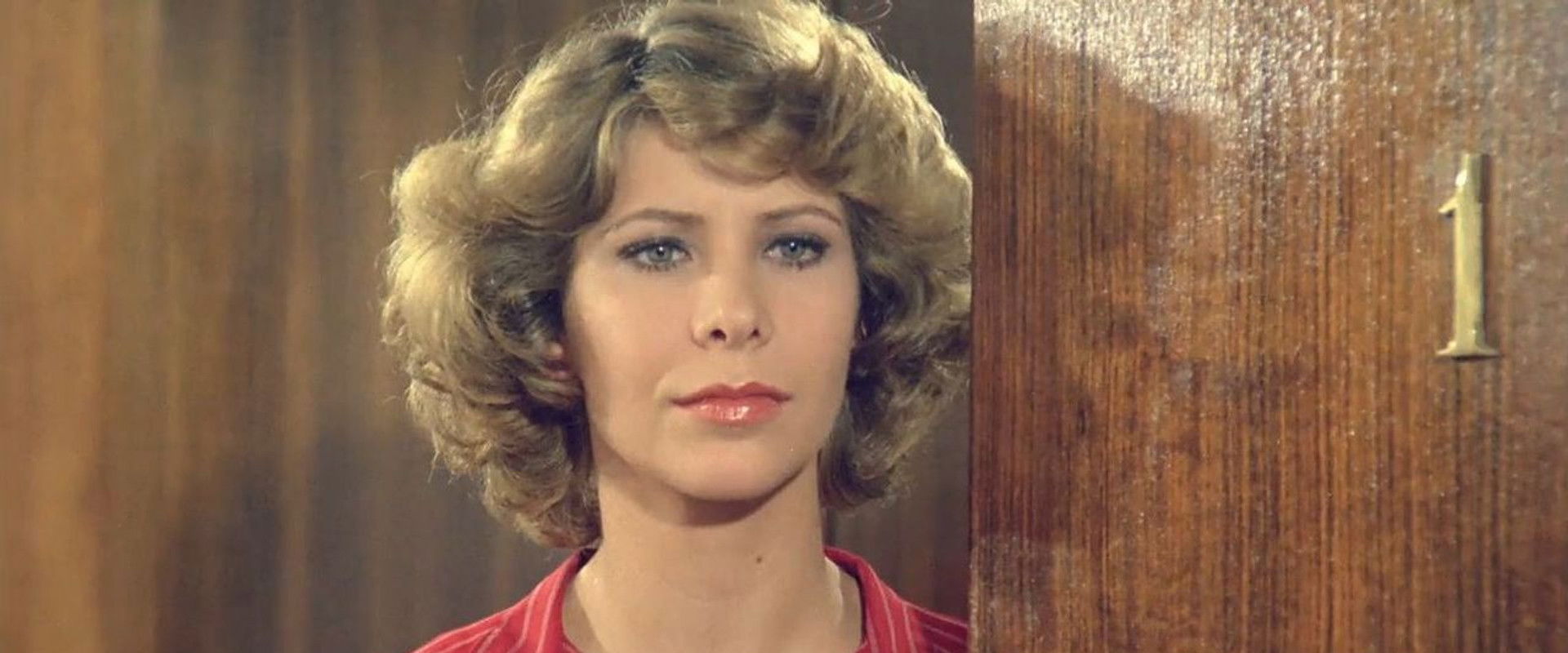 Hooray for Divorce!'s banner image