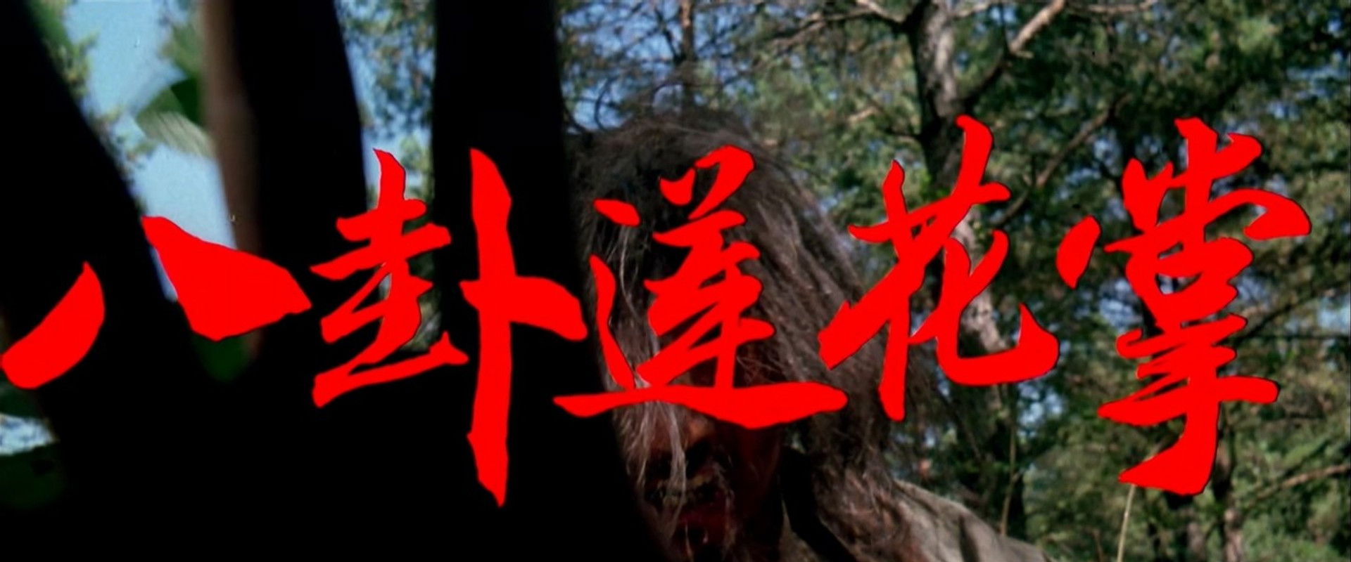 The Lotus Palm of the 8 Diagrams's banner image