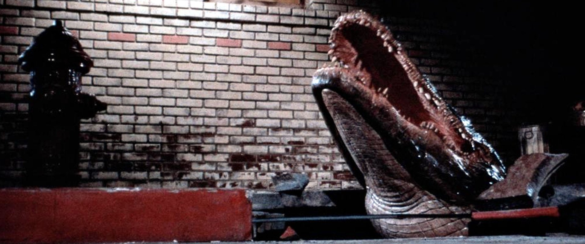 Alligator