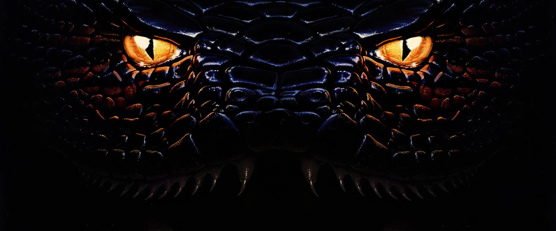 Anaconda's banner image