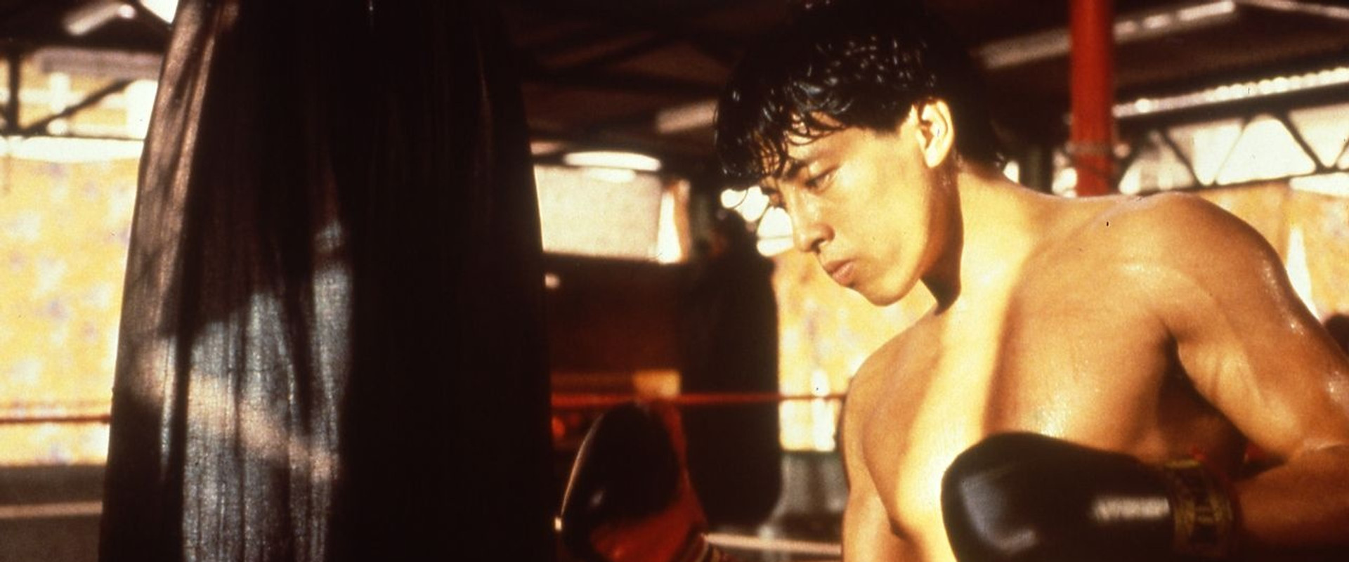 Dreams of Glory, A Boxer's Story's banner image