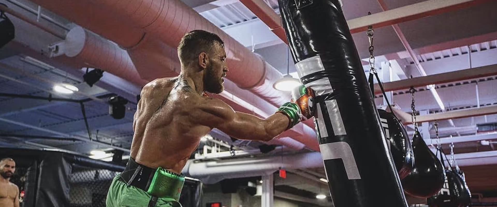 Conor McGregor: Notorious