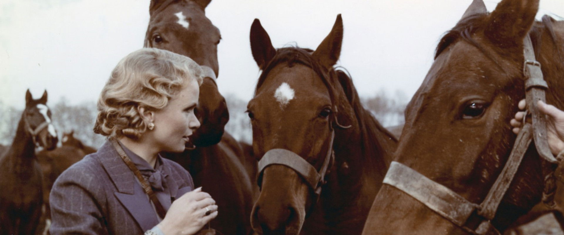 Wherever You Are...'s banner image