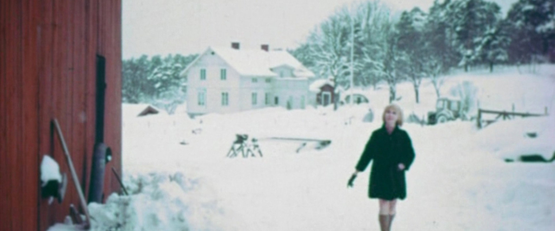 The Indelicate Balance's banner image