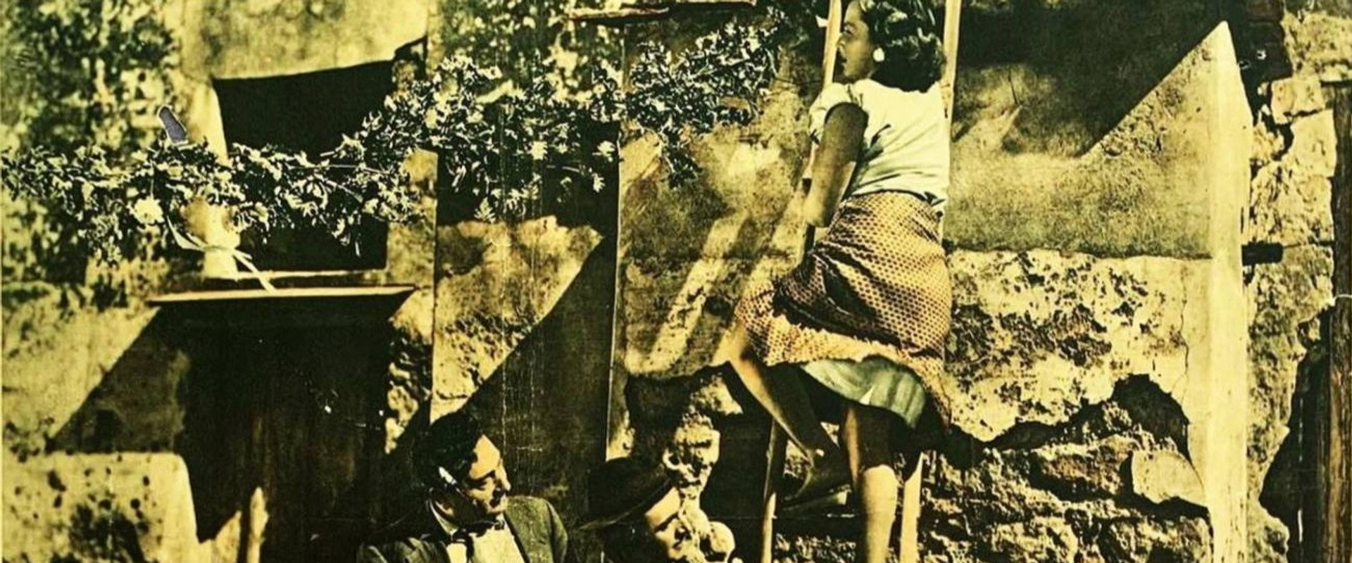 Calamita d'oro's banner image