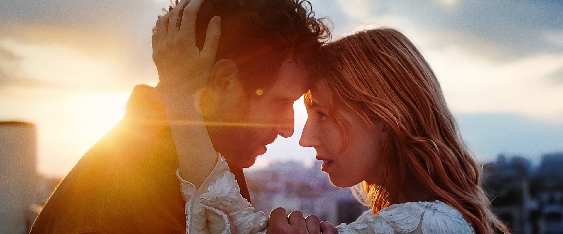 7 steg's banner image