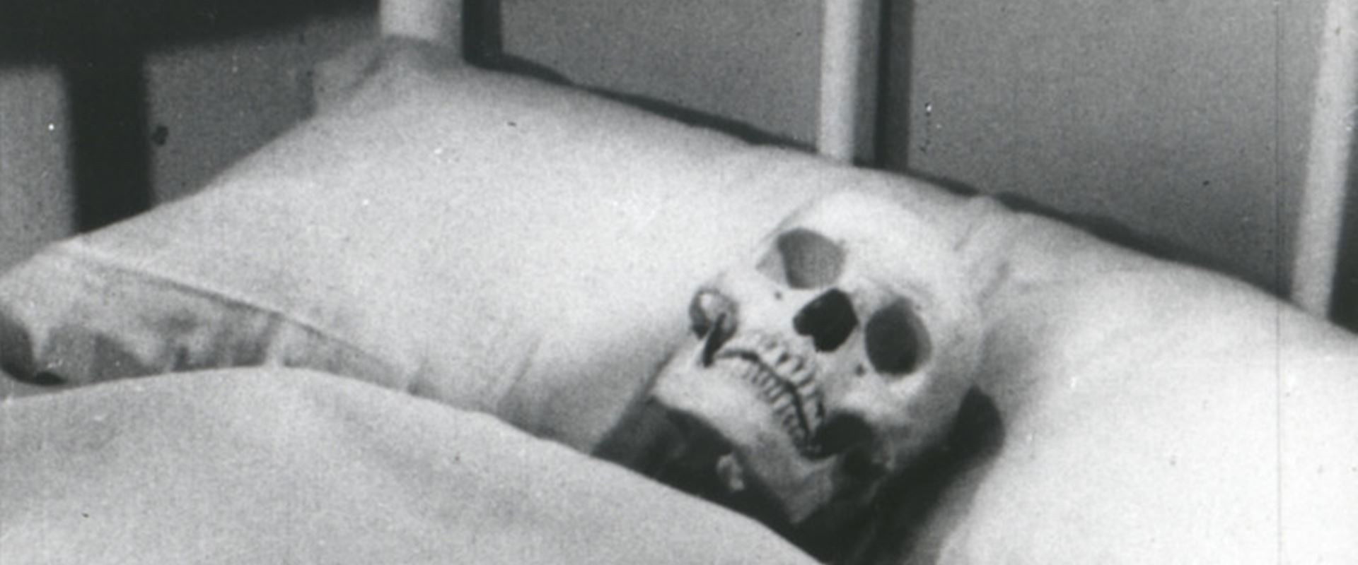 Tribulation 99: Alien Anomalies Under America's banner image