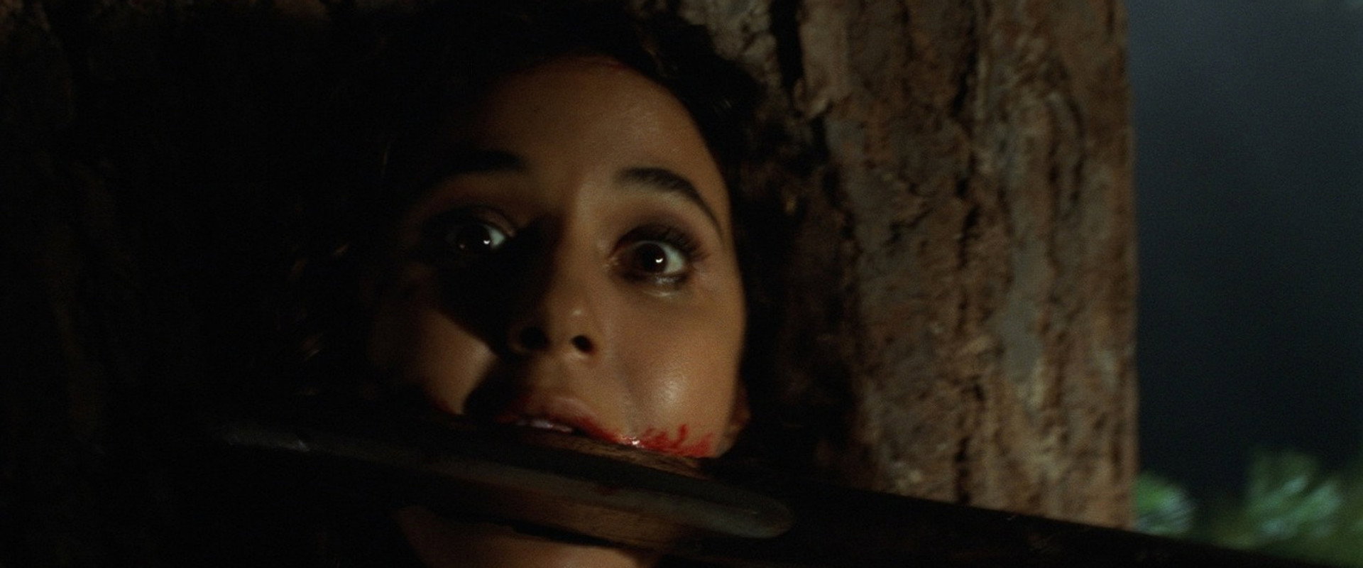 Wrong Turn's banner image
