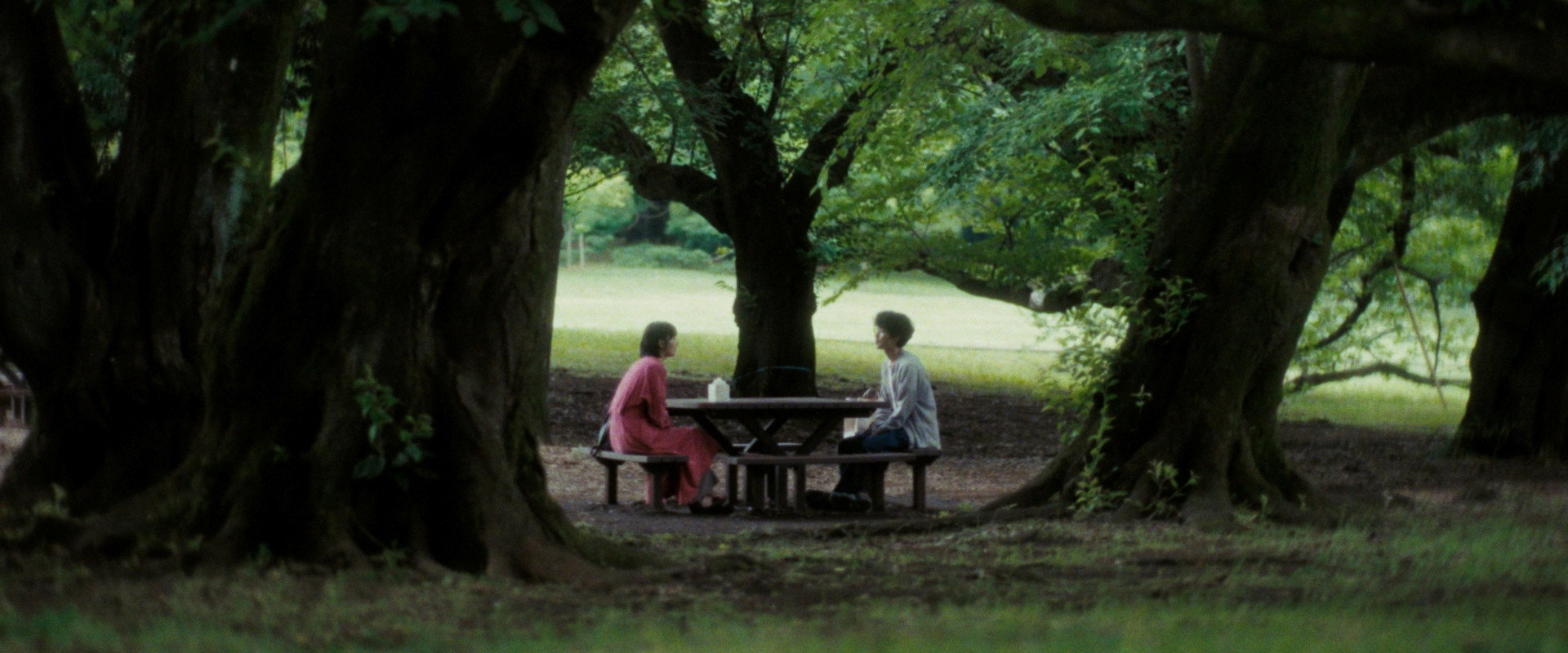 Leave the Cat Alone's banner image