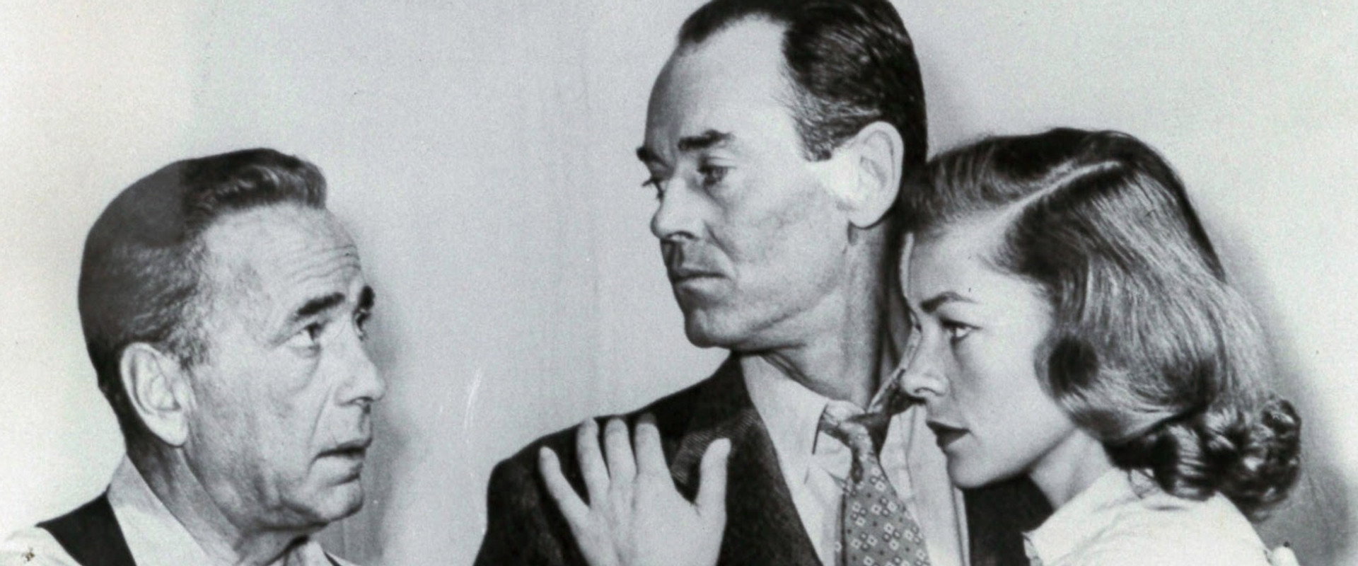 The Petrified Forest