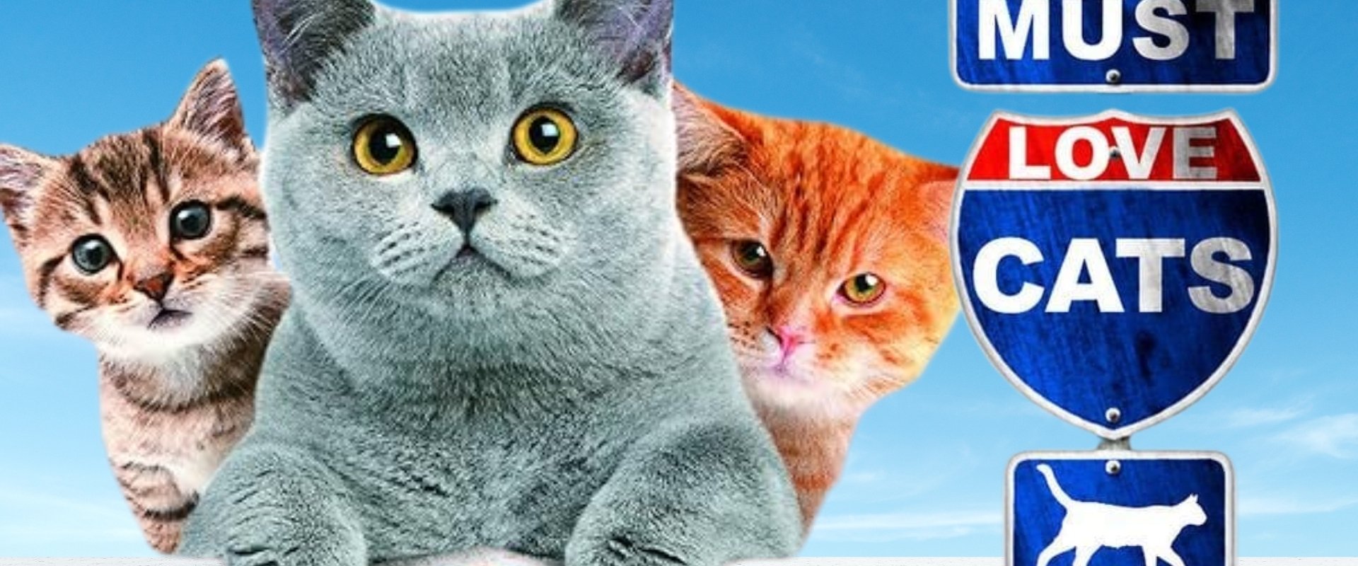 Animal Planet: Must Love Cats