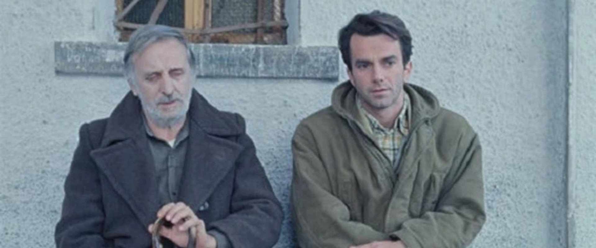 Il caso Martello's banner image