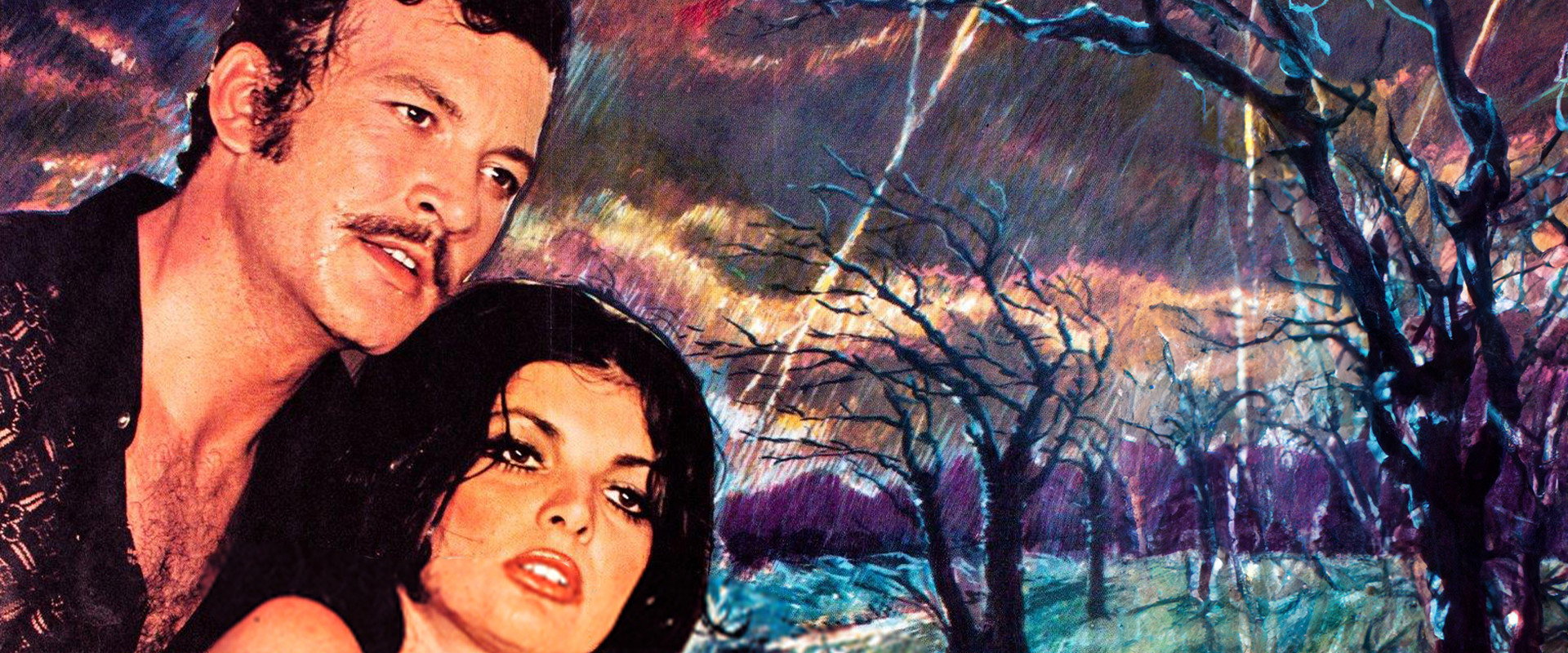 Aşk Fırtınası's banner image
