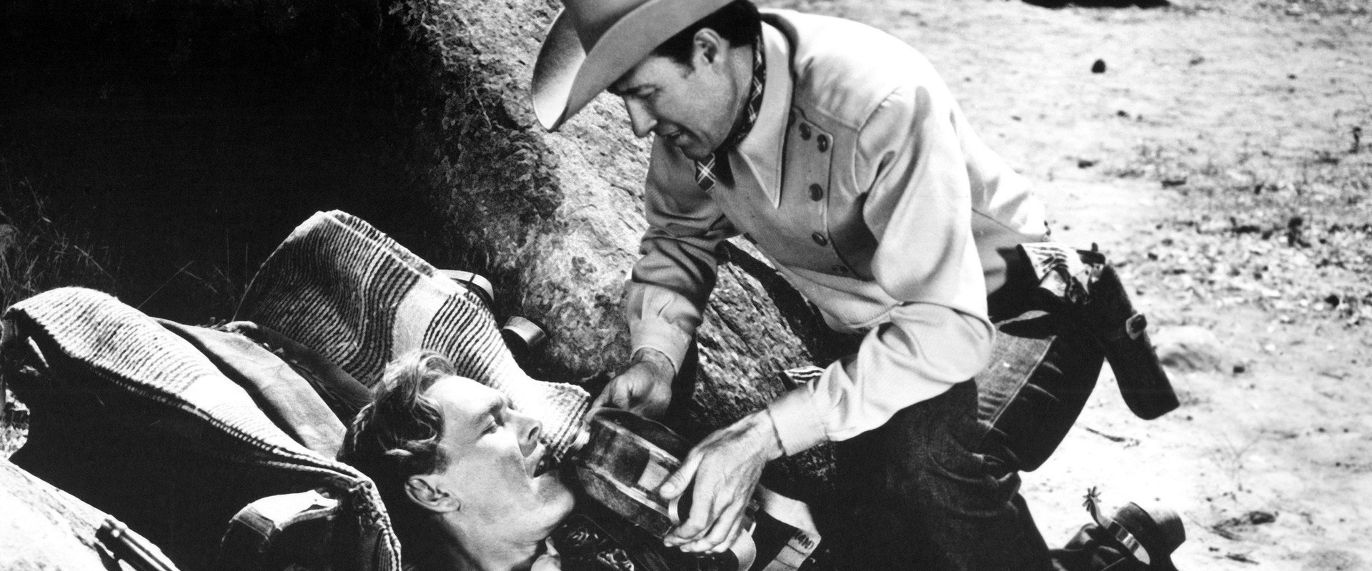 The Longhorn's banner image