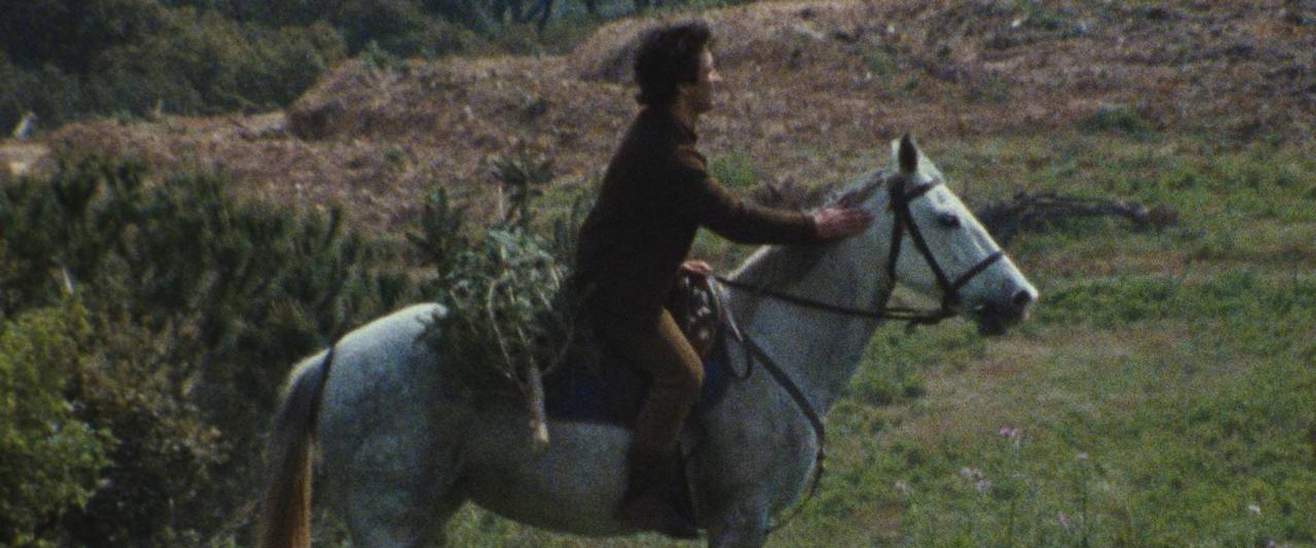 Longe's banner image