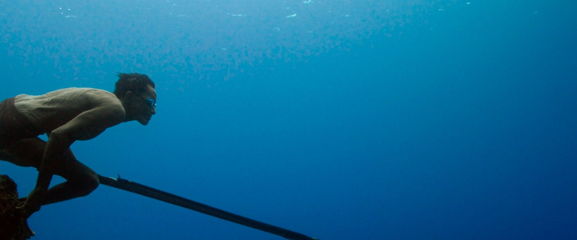 Jago: A Life Underwater