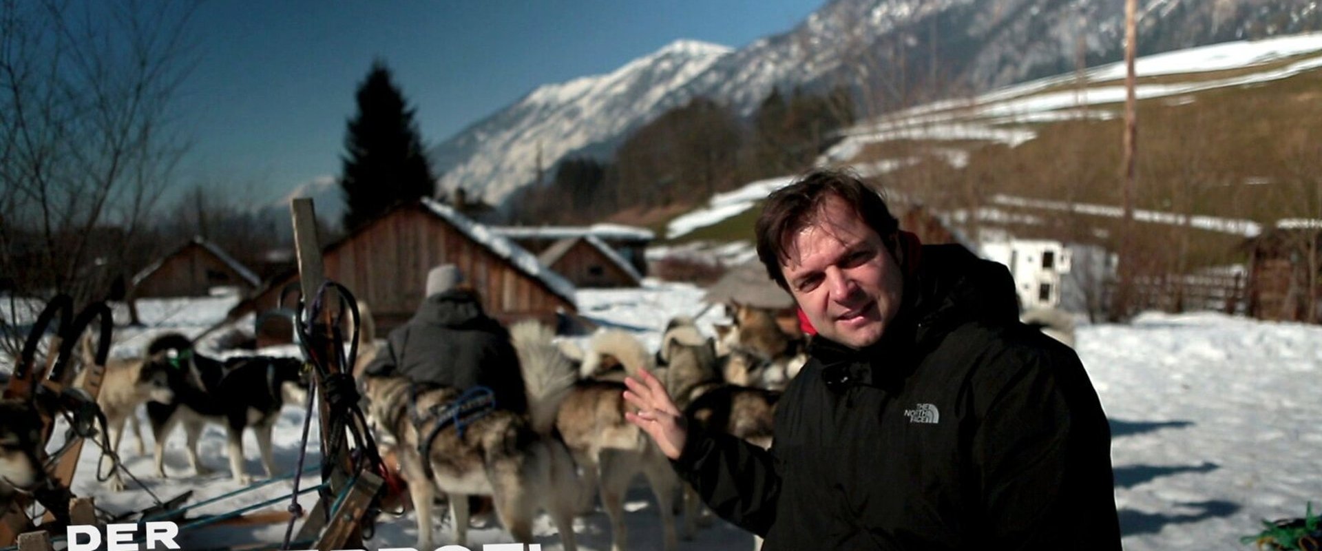 Der Hundeprofi unterwegs
