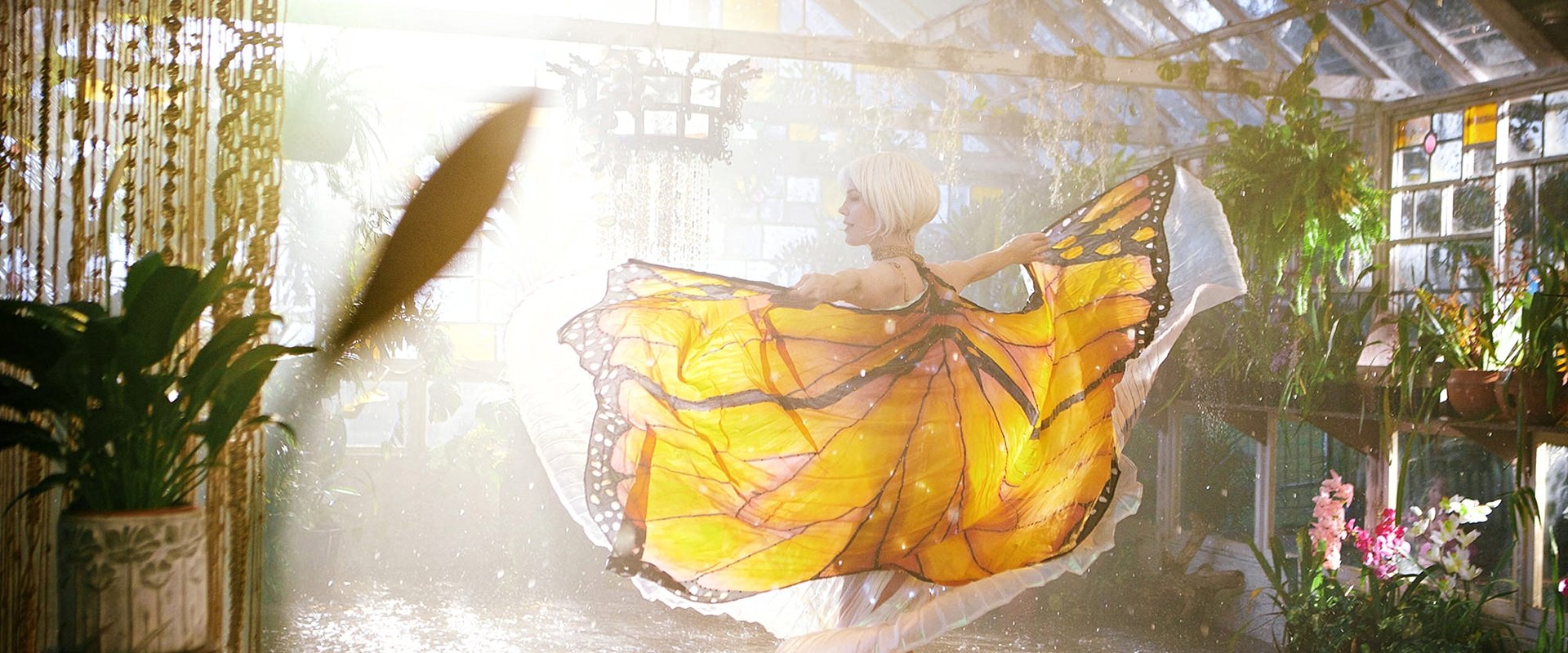 The Butterfly Tree