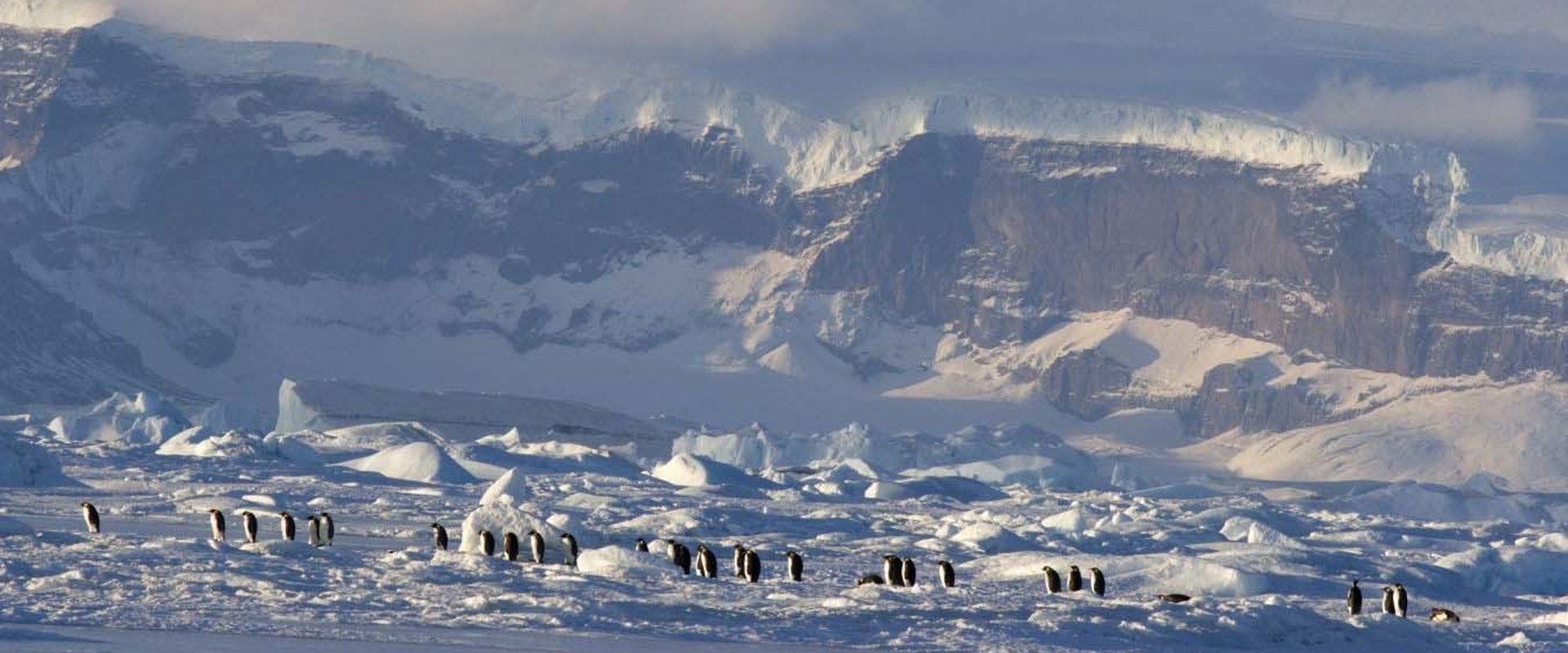 Die Reise der Pinguine 2: Der Weg des Lebens