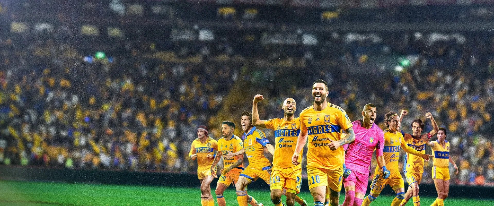 Tigres: La historia perfecta