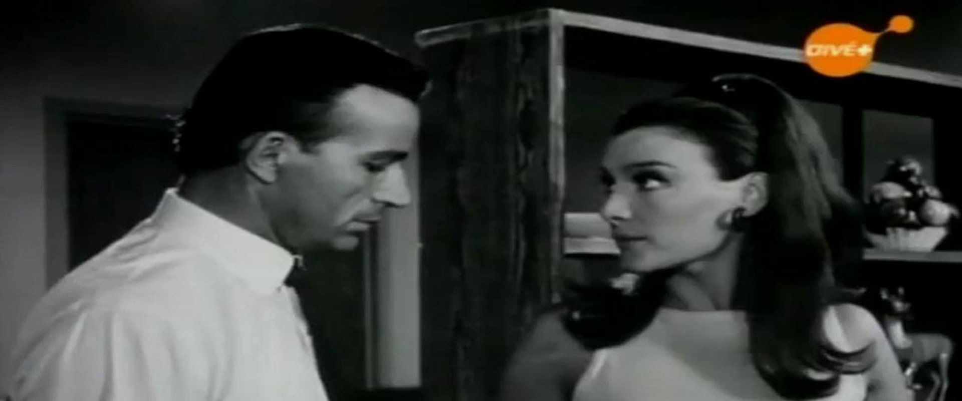 The Stigmatized's banner image