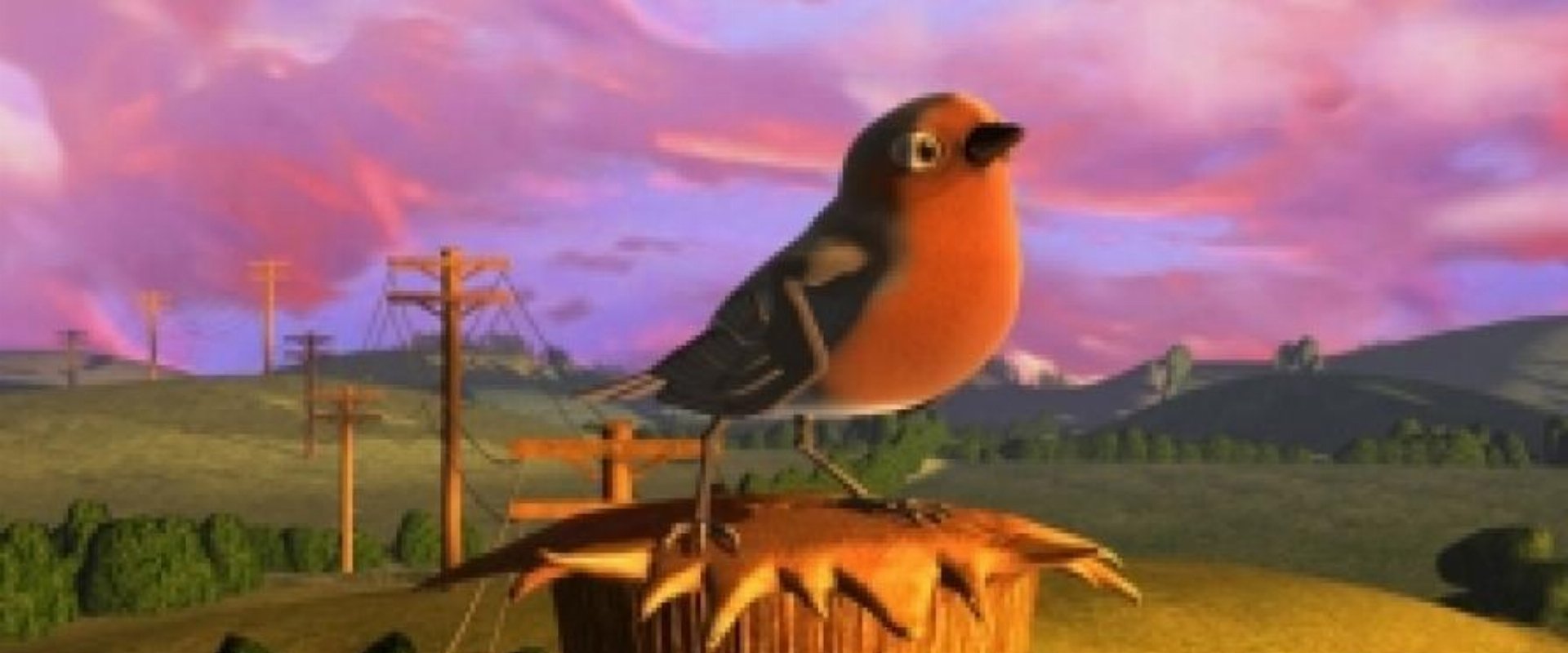 Bird Bath