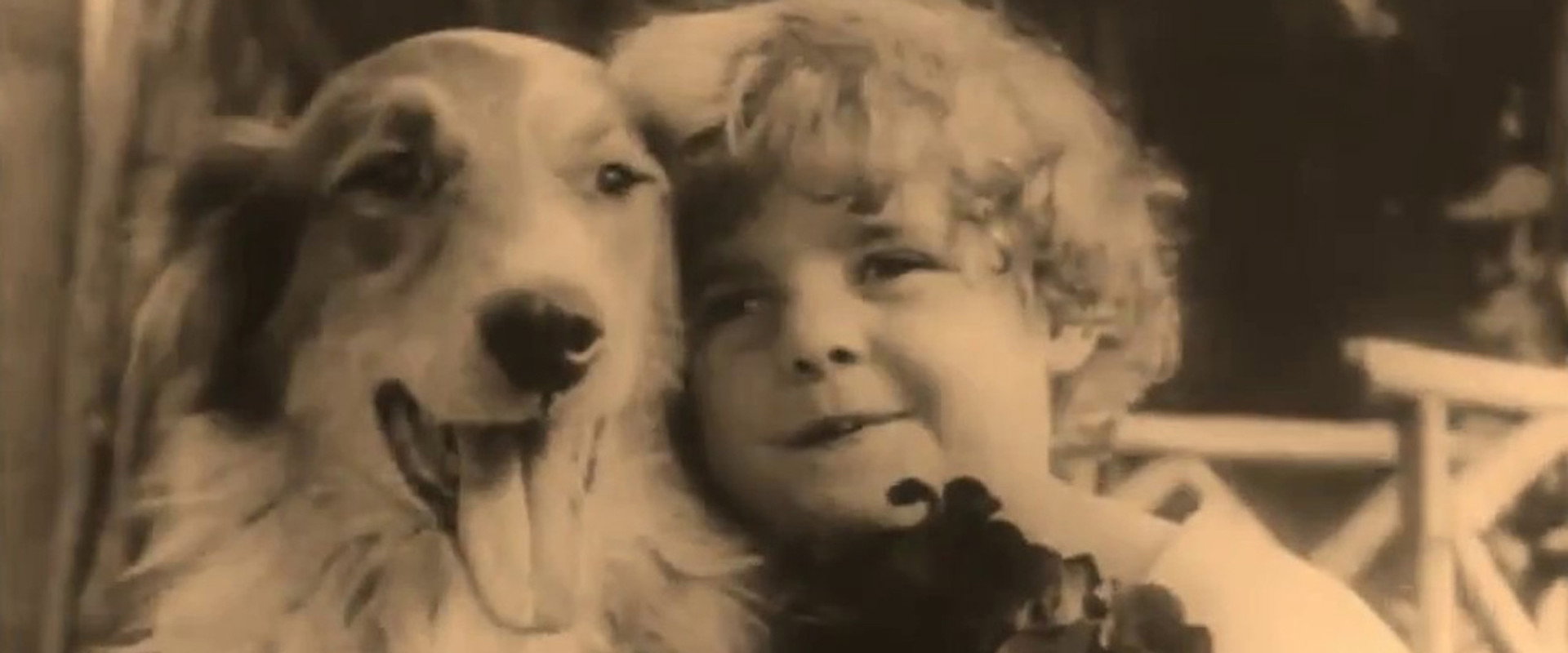 A Dog's Love's banner image