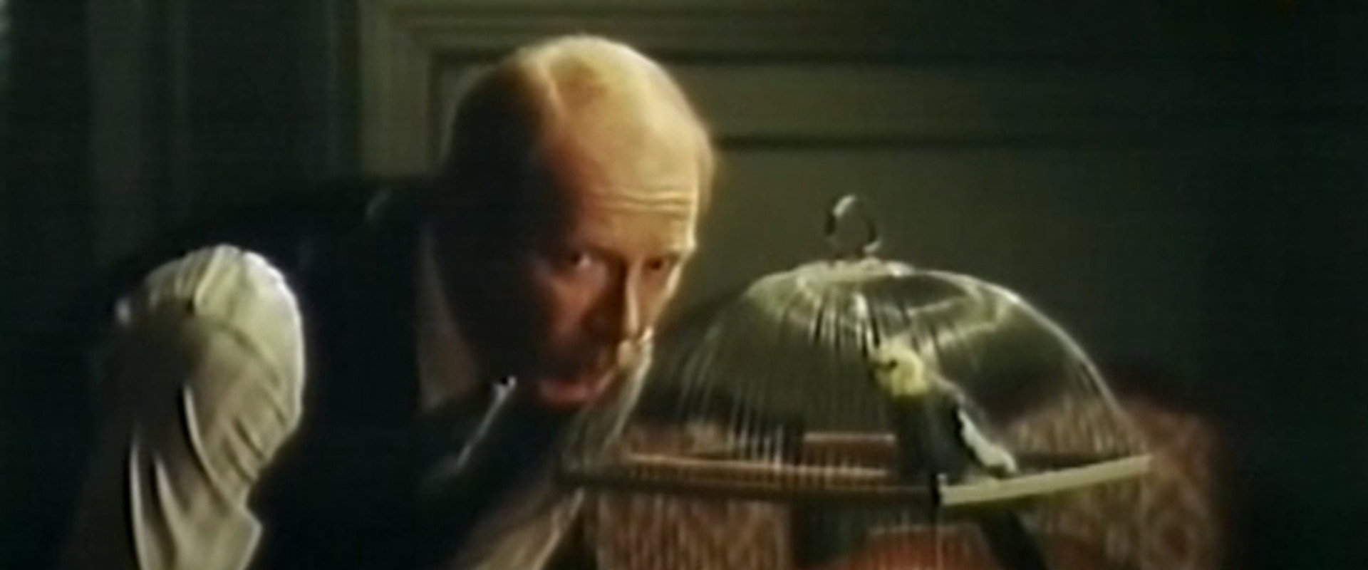 Rear Window's banner image