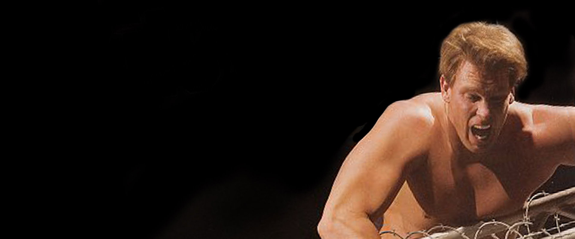 WWE No Way Out 2005's banner image