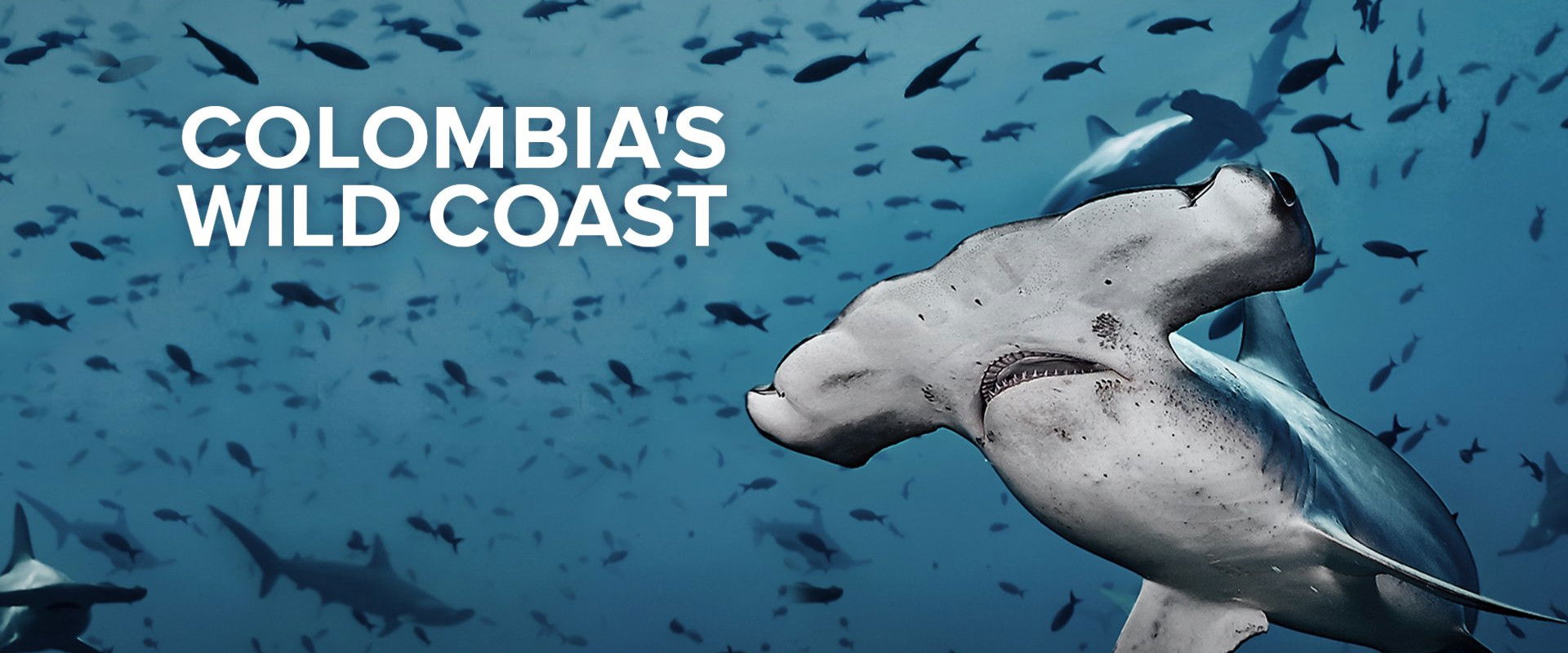 Colombia's Wild Coast