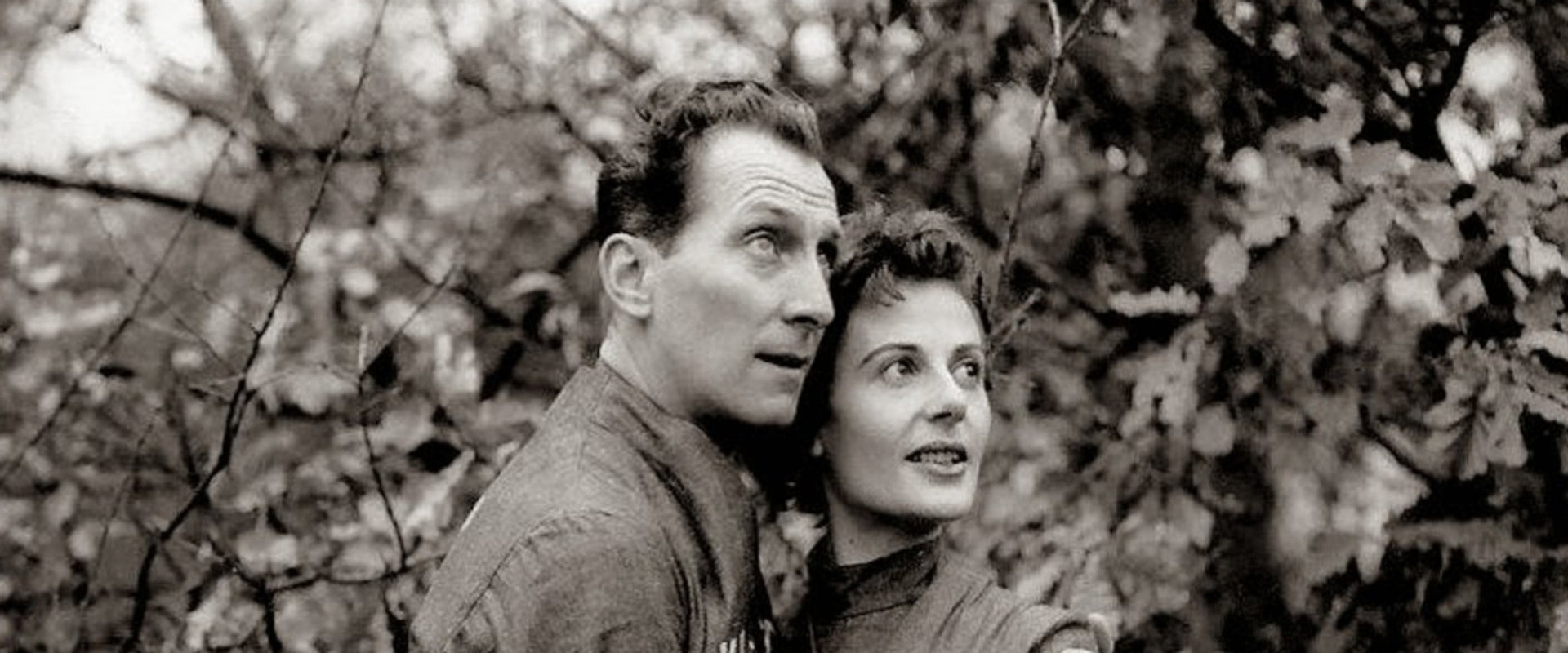 Nineteen Eighty-Four's banner image