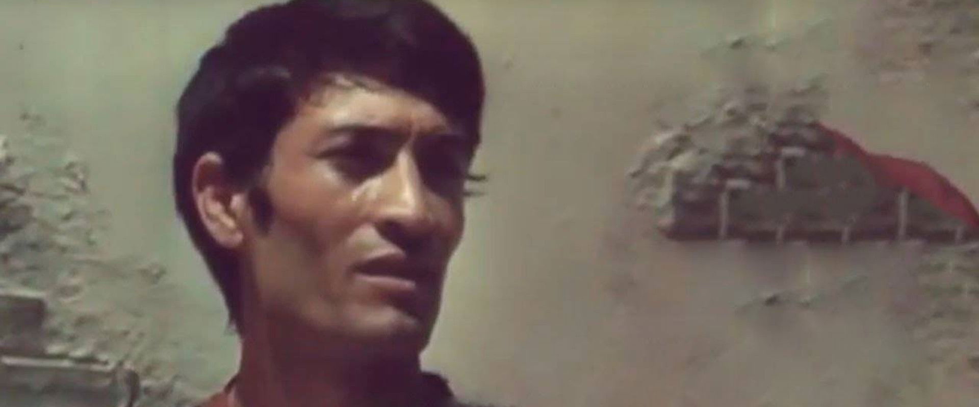 The Tale of the Man, the Wheel and the Plane Tree's banner image