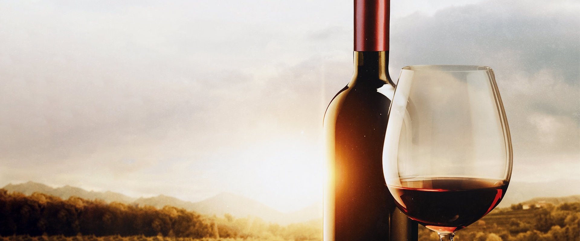 The Mostly Serious History of Wine