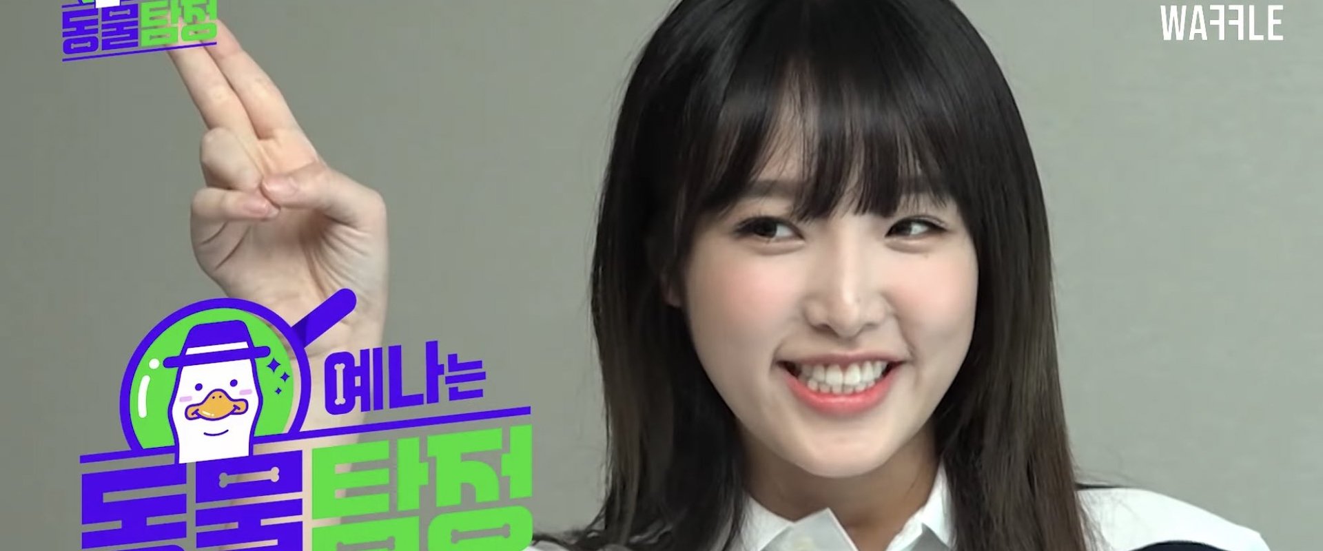 Animal Detective Yena