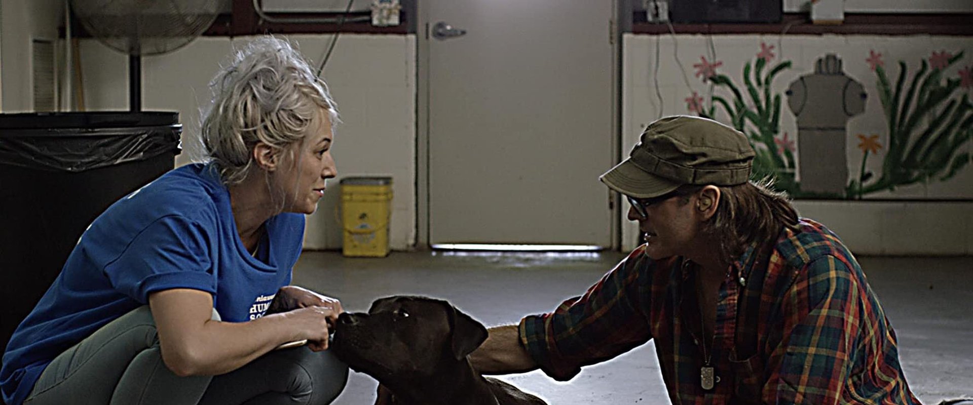 MBF: Man's Best Friend