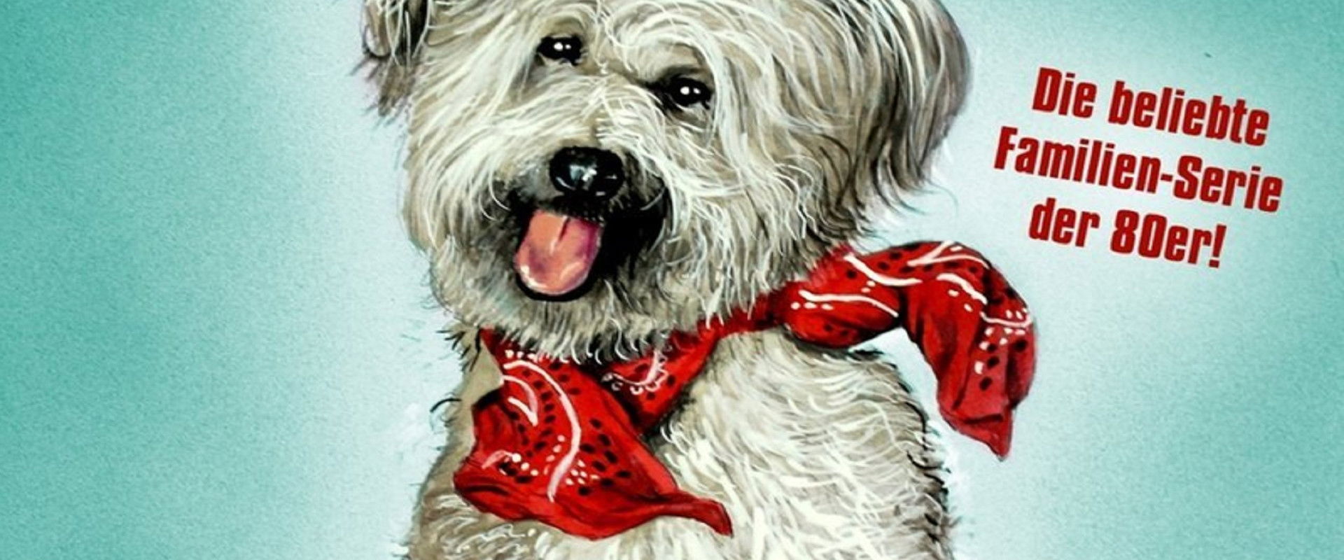 Here's Boomer's banner image