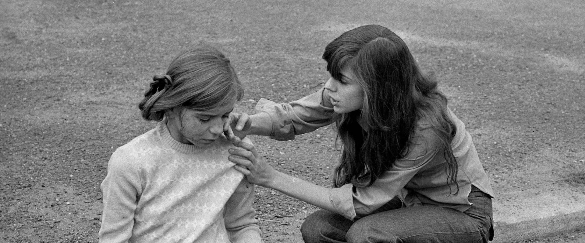 Padavka's banner image