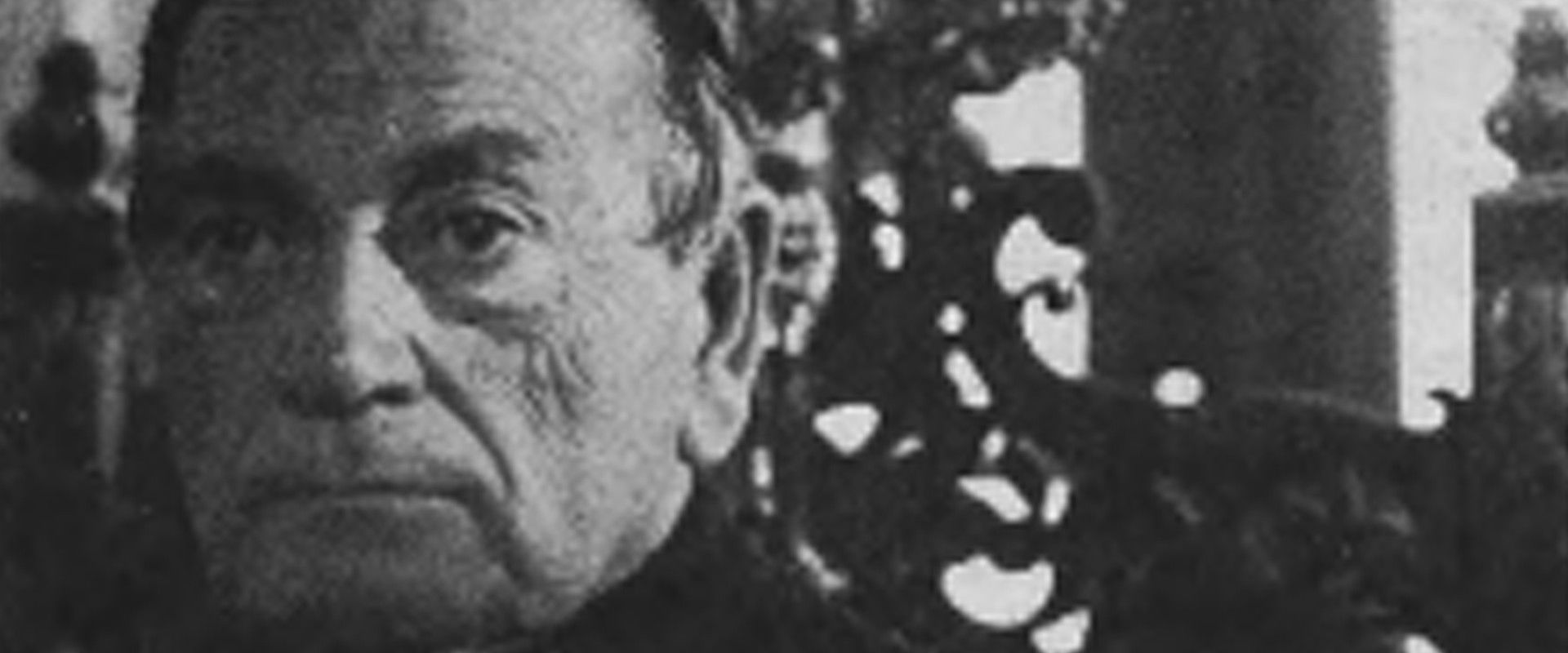 Dr. Lazarus's banner image