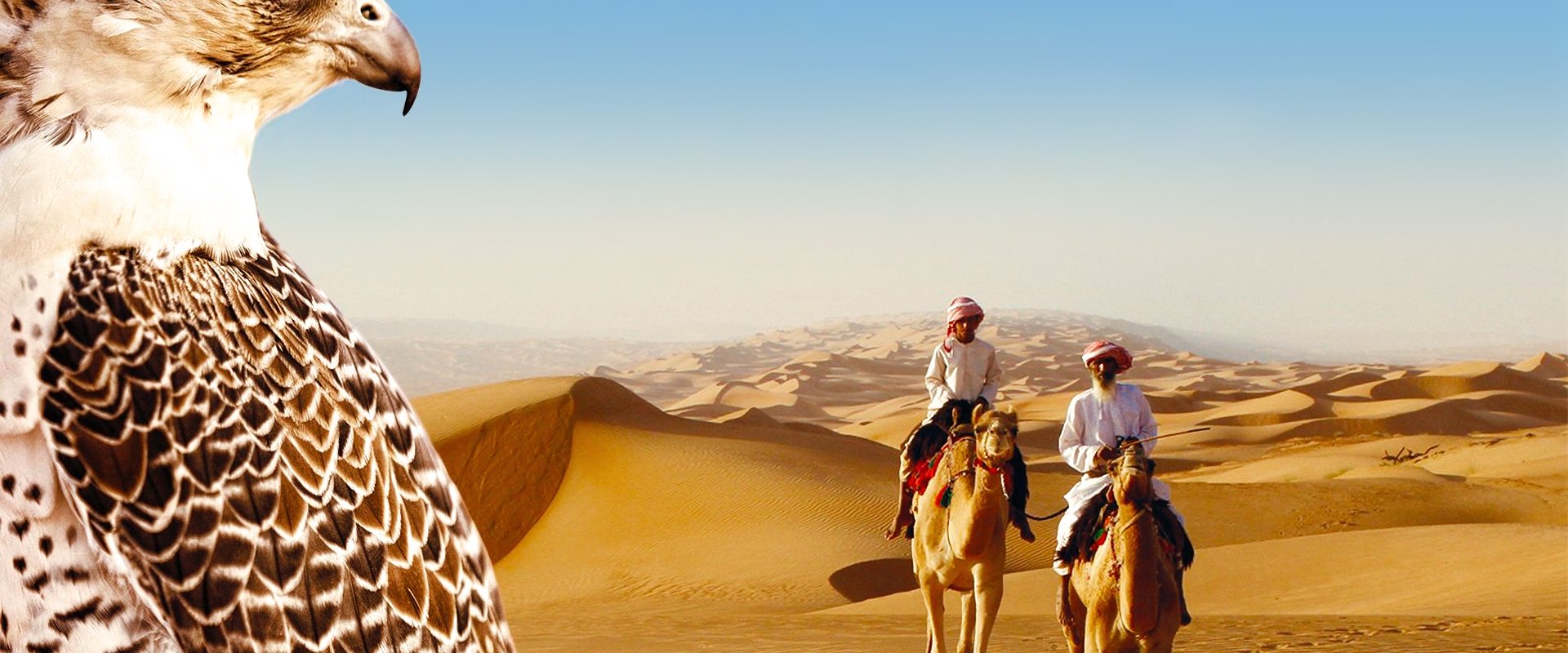 Wild Arabia